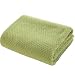 Simple&Opulence Solid Coral Jacquard Dot Velvet 50 X 60-Inches Throw Blanket, Green