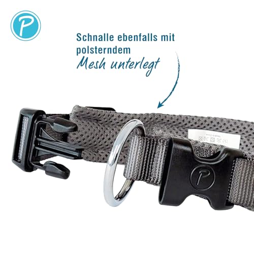 Petlando Mesh Hundehalsband – leicht, atmungsaktiv, weich mit Mesh gepolstert, stufenlos verstellbar, robust & strapazierfähig mit O-Ring – Halsband Hund M 45-50cm, Anthrazit
