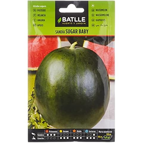 Semillas Batlle Watermelon Sugar Baby Seeds Cover