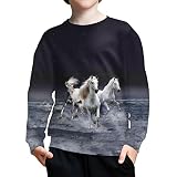 ZPINXIGN Boys Crewneck Sweatshirt Horse Graphic Long Sleeve Shirts Active Tops Teens Kids Fall Cloth