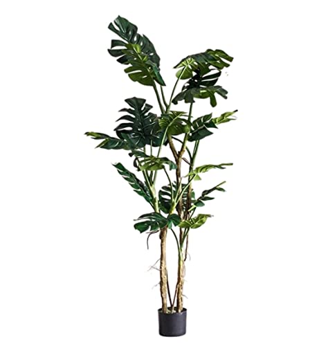  z[ lH J̖ ~ V~[V ΂̐A z[ ItBX  lHA tFCNc[ sv