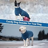 Queenmore Dackel Hundepullover, Gestrickter Rollkragen Hundepulli für Rüden & Hündinnen, für Jack Russell, Bulldog Corgi, Franz. Bulldogge, Mops (Blau, M)