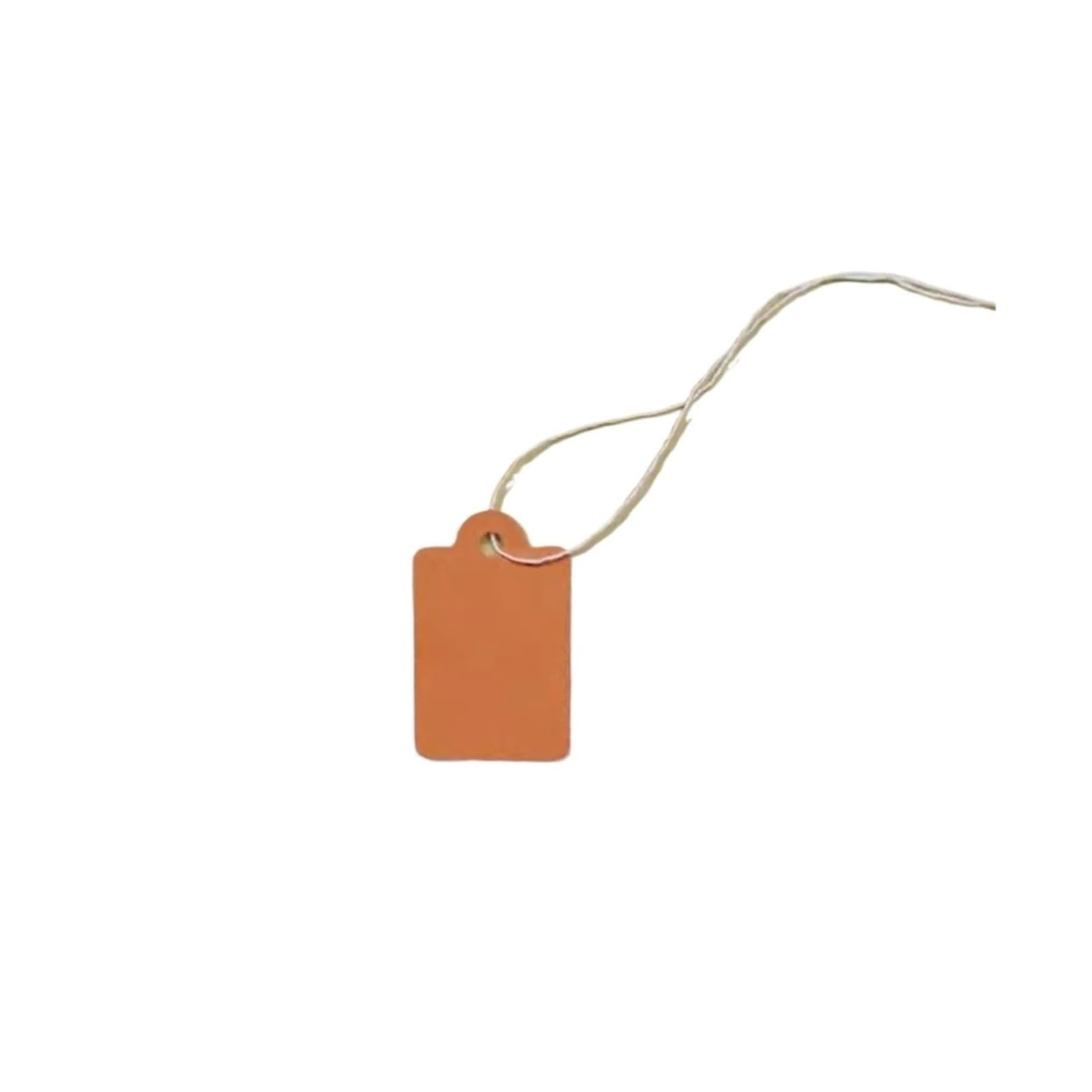 100pcs Colorful Paper Price Cards Cotton String Tags Blank Labels Jewelry Display Packaging Hang for Wedding Favors(Orange)