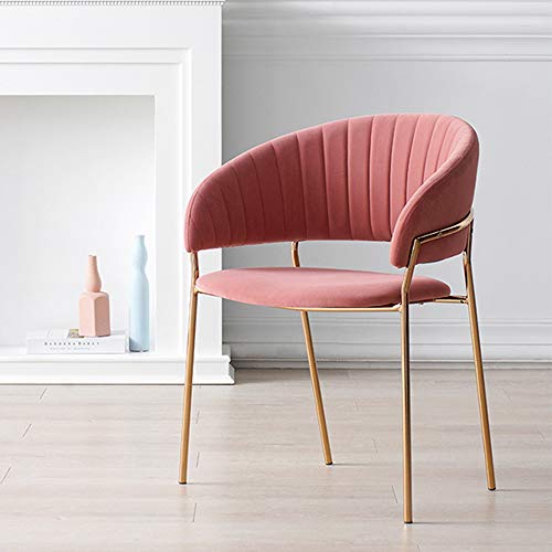 Teerwere Dining Chair Dining Chair With Armrests Pink/Brass 61 X 49.5 X 76.5 Cm Kitchen Chair Set Of 4 With Fine Velvet Dining Room Furniture Home Chair (Color : Pink, Size : 61X49.5X76.5Cm) #TOP1