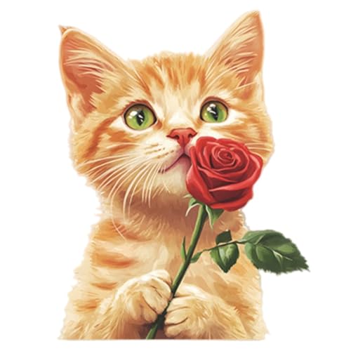 Vinilo decorativo naranja con gatito y rosa roja