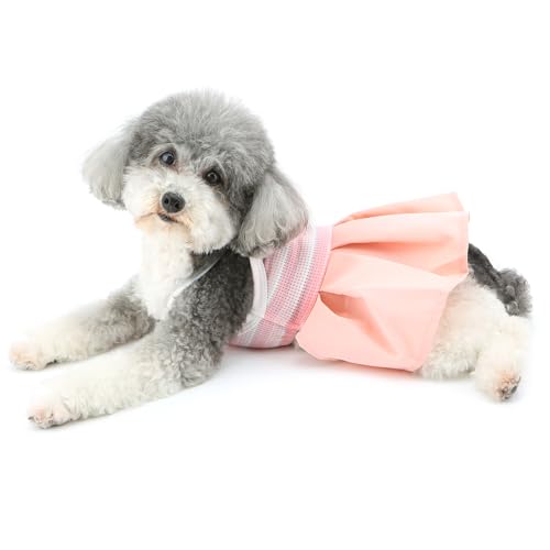 Ranphy Vestido para cães pequenos listrado roupas para cães com saia plissada primavera verão colete