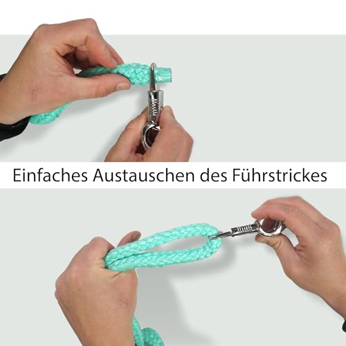 Panikhaken für Führstrick Pferd ideal als Ersatzhaken für Strick mit Panikhaken Strick Set für Pferde Zubehör (2)