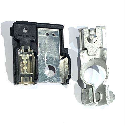 EAPP 18790-01318 1879001318 Fuse with Positive Battery Terminal kit Compatible Replacement for Hyundai/Kia Vehicles. Includes M6 & M8 Nuts with fuselink and Battery Terminal Connector