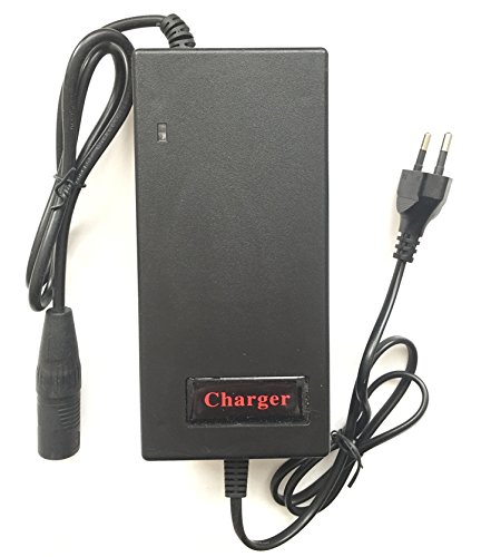 Caricatore per batteria agli ioni di litio per