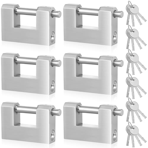 Blulu 6 Pack Heavy Duty Lock for Shipping Container with Stainless Steel Keys Stainless Steel D-Shaped Padlock for Garage Door Shed Storage Unit Locker and Warehouse (80 mm)