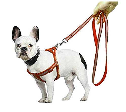 Pups&Pets 15 MM Nylon Strip Pattern Radium/Reflective Dog Harness and Leash Set Ideal for Puppies and Small Breed Dogs (Oranle)