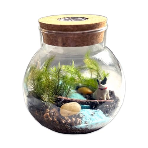 苔テラリウム キット LED付き フレンチブルドッグ フィギュア付き 日本製 卓上タイプ