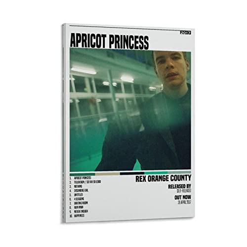 Poster Rex Orange County Apricot Princess sur toile avec cadre 40x60 cm pour salon