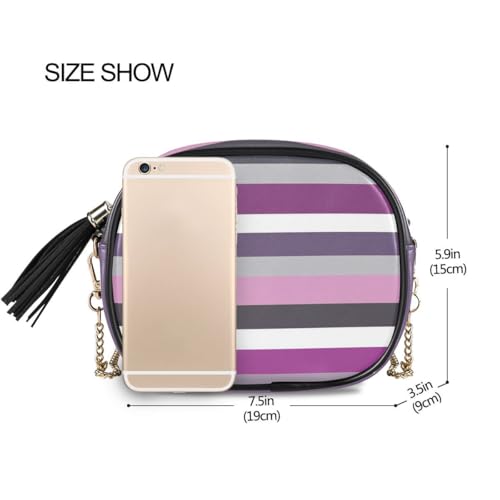 ALAZA Women's Gray and Purple Striped PU Leather Crossbody Bag Shoulder Purse with Tassel3