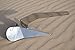 MarineNow Stainless Steel Delta Style Boat Anchor (5 kg)