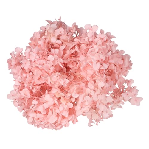 Wakauto pétalos secos naturales rosas de hortensia