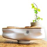 Biovessel - Eco Living Composter Powered by Food Waste
