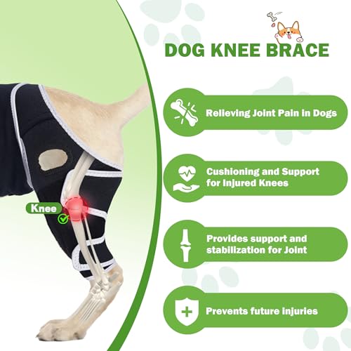 Hunde-Kniebandagen für Hinterbein, Kniebandage für Hunde mit gerissenem ACL Hinterbein oder Vorderbein, Hilfe zur Schmerzlinderung, Arthrose, Bänderverletzungen, verstellbare Beinstütze für
