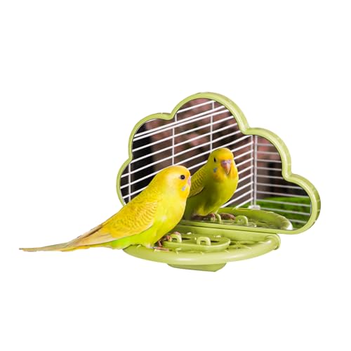 septillar Miroir à Oiseaux avec perchoir, Jouets pour Oiseaux pour perruches, calopsittes, Conures, inséparables, pinsons, canaris (Vert)