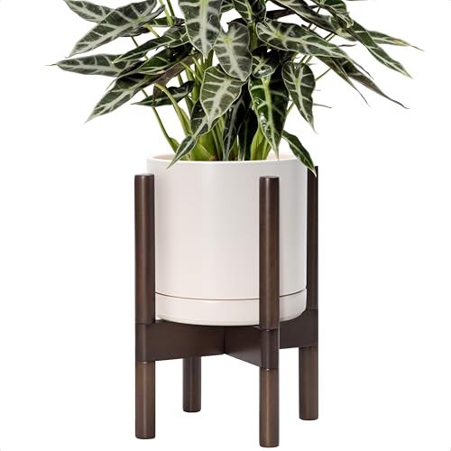 D'vine Dev Ceramic Pot with Walnut Wood Stand, Oatmeal, 8 in, 55-B-Y-8