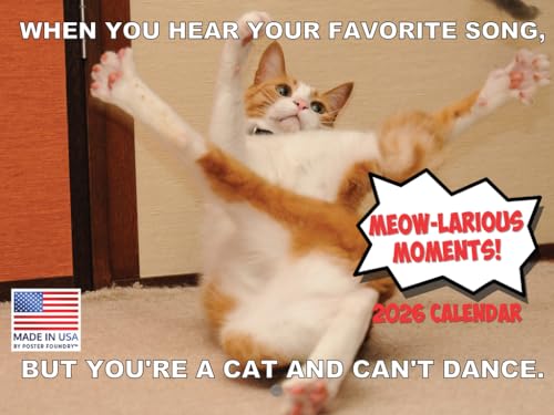 Funny Cat Calendar 2026 Funny Gift Cats Monthly Wall Calender 12 Month