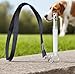ZeriLion 2 Pack Dog Whistle for Barking Control & Recall Training - Adjustable Ultrasonic Silent Whistle with Lanyard for All Dogs, Professional Pet Whistle Neighbor Dog Solution & Deaf Pet Aid