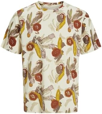Jack & Jones PREMIUM JORVARENNA TEE CREW NECK - T-shirt Imprimé - Cloud