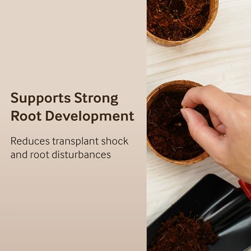 PlantBest 3 Inch Coconut Coir Biodegradable Pots - 22-Pack by PlantBest - Used condition - Image 6