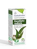 INTERSA