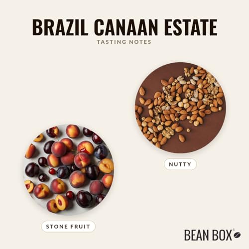Brazil Canaan Estate - Café Molido Tostado Medio 12 oz miniatura 3