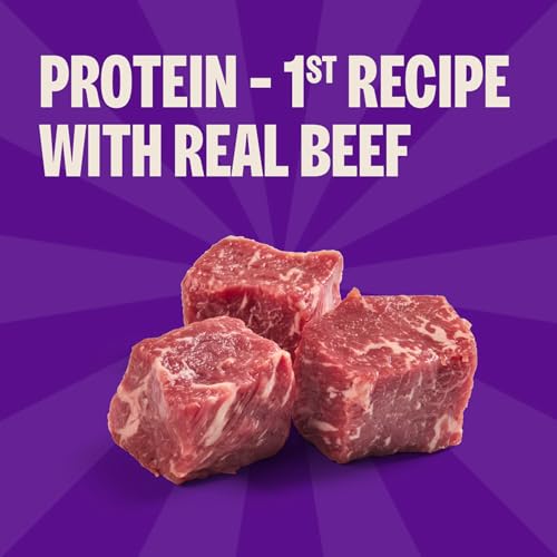 Image of Wellness Rewarding Life Soft Dog Training Treats, Natural, Grain Free, Beef and Turkey Recipe, 6 oz Bag