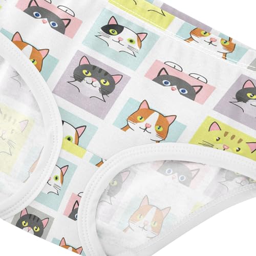 Cute Cat Toddler Girls's Underwear 2T 23018824