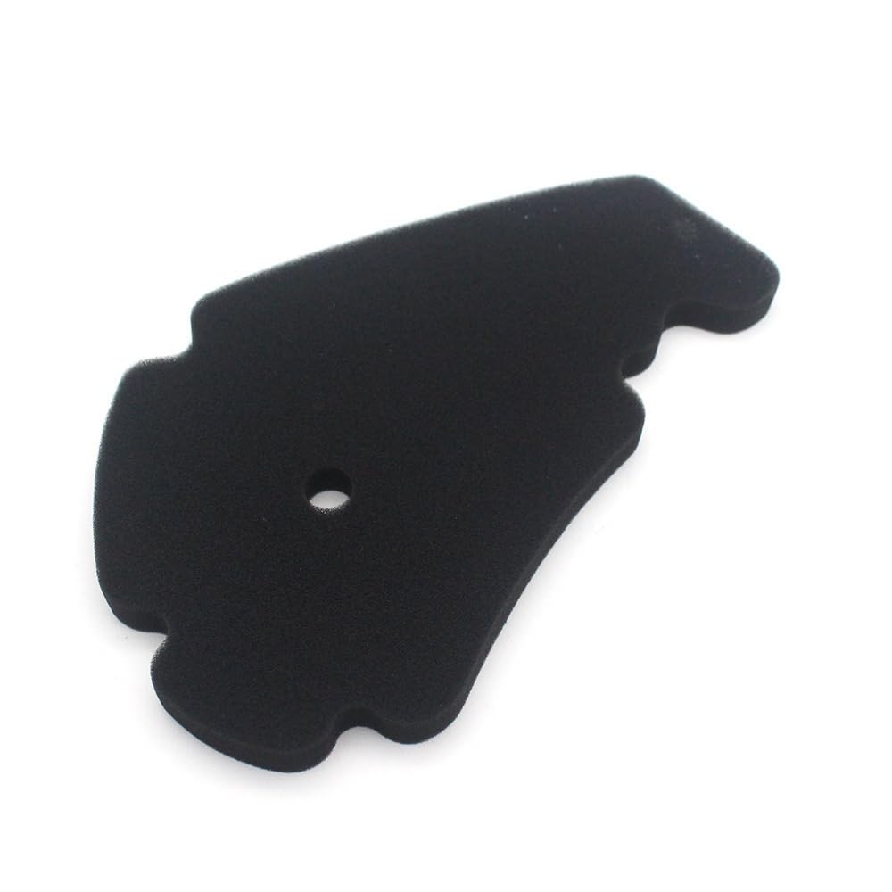 filtro aria moto Olio in spugna per filtro aria moto adatto per PIAGGIO MP3 X7 X9 X10 125 BEVERLY125 250 300 CARNABY125 200 CRUISER300 X-EVO.(B - Set)