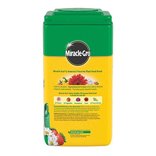 Image of Miracle-Gro Water Soluble All Purpose Plant Food, 5.5 lb. | Fertilizer For All Indoor or Outdoor Plants including Roses, Flowers, Vegetables, Houseplants, Trees, and Shrubs