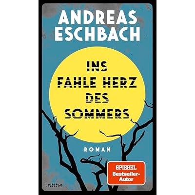 Ins fahle Herz des Sommers: Roman. Ein Roman, der nachdenklich macht
