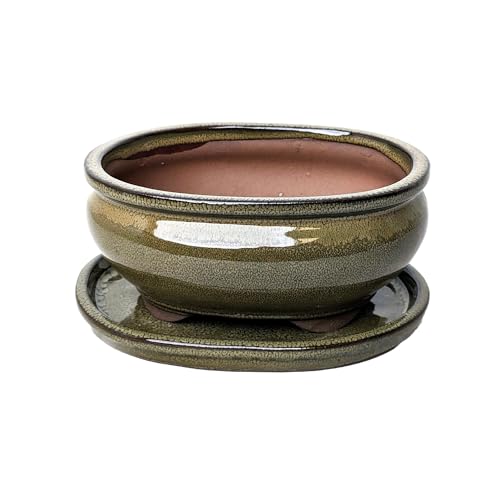 Glazed Ceramic Bonsai Pots with Matching Drip Trays (Olive Green, 16cm)