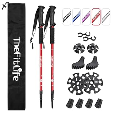 best value trekking pole