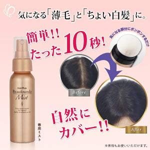 Amazon ヘアプラス ビューファンデ ミスト 単品１個 女性用増毛パウダーを定着させるスプレーです 薄毛 白髪 薄毛隠し 白髪隠し パウダーは付属しませんのでご注意下さい ライツフォル Reizvoll 増毛 ボリュームアップスプレー 通販