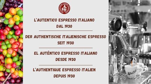 Caffè New York - XXXX - Caffè in grani, gusto intenso ma soave, arabica e robusta media tostatura, da macinare, caffe espresso italiano, miscela da bar - alta qualità dal 1930-1 kg, chicchi