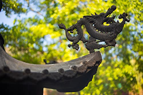 Lente Zhongyi Mitakon Speedmaster 35mm f/2 para Canon EF - Fernando Cortés