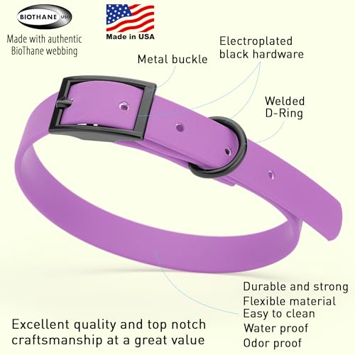 Image of Dogline Biothane Waterproof Dog Collar Strong Coated Nylon Webbing with Black Hardware Odor- Proof for Easy Care Easy to Clean High Performance Fits Small Medium or Large Dogs, Amethyst Purple
