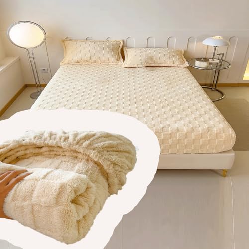 {bNXV[c ̌^ VO  ~p ~ H SS ӂӂ g  zcJo[ xbhJo[ ӂӂ  VO pbh iJ2 3_Zbg - Jo[2 200*220cmj