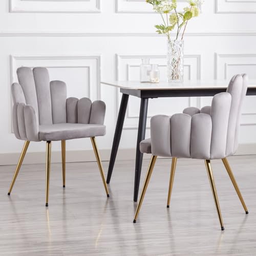 Ya-Home Velvet Dining Chairs Set of 2 Kitchen Side Chairs Upholstered Corner Chair with Gold Metal Legs, Modern Leisure Armchair for Dining Room/Restaurant, Gray