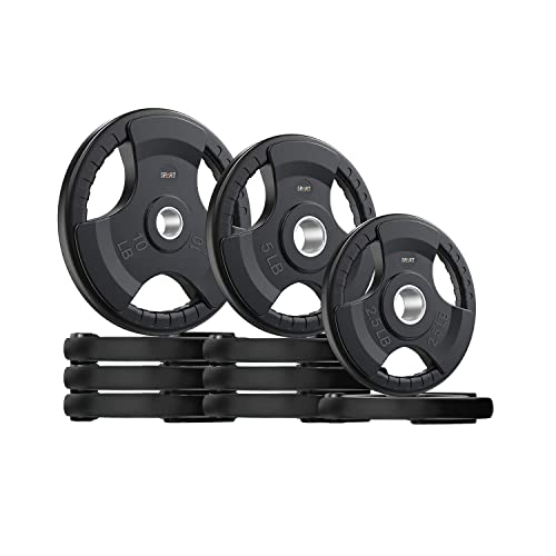 Spart Weight Plate 2-Inch Rubber Coated Olympic Grip Plate For Barbell,Solid Cast Iron Weight Plates In Pairs Or Single For Strength Training,Weightlifting,Crossfit,Home Gym,65Lb Combo #TOP6