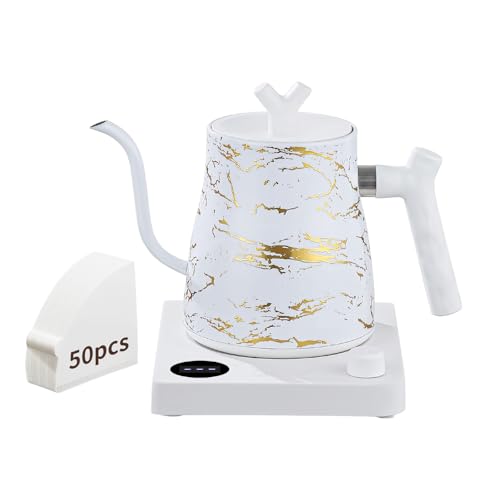 MOUTIUS Electric Gooseneck Kettle with Coffee Filters