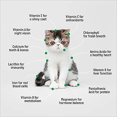 Tcl White Cat Mug Cat Grass Kit And Refill #TOP3