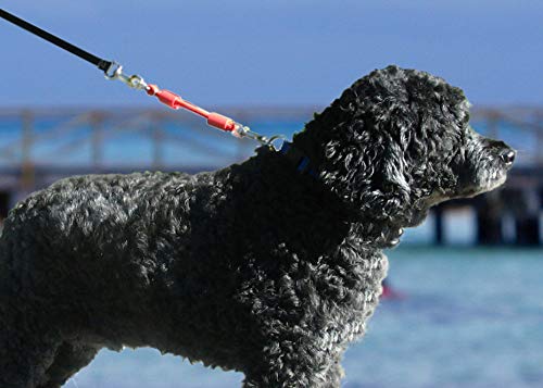 JERK-EASE Patented Shock Absorber Bungee Dog Leash Attachment, Medium (up to 60 pounds), Black