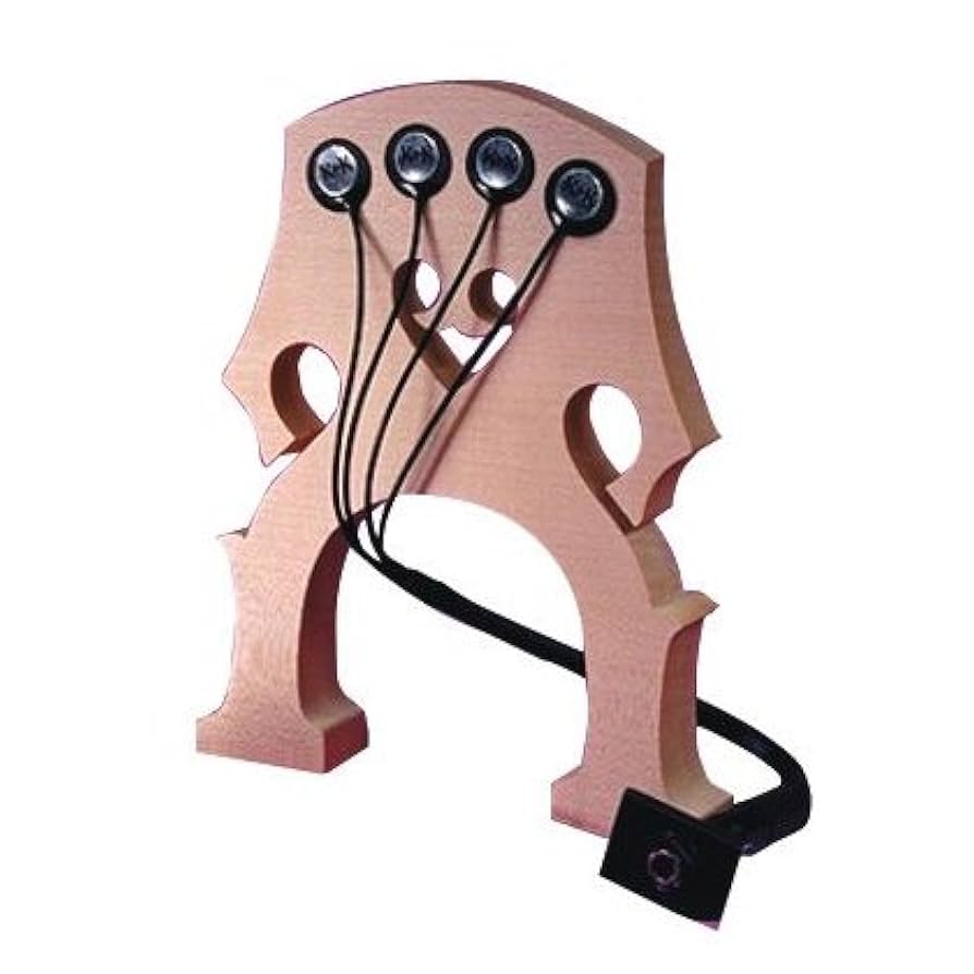 Amazon.com: K&K Sound Double Big Twin Upright Bass 4 Pickup