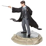 Enesco Harry Potter Tom Riddle I am Lord Voldemort, podświetlana figurka, 23 cm, wielokolorowa