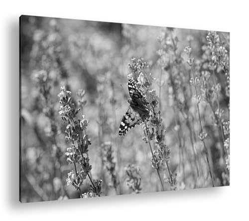 Toile murale papillon et lavande deyoli 90x60 cm pour salon